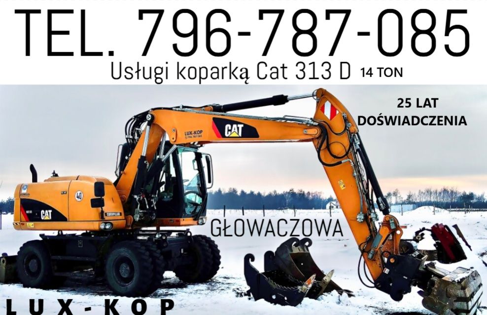 Roboty ziemne Cat 313 D     14 ton