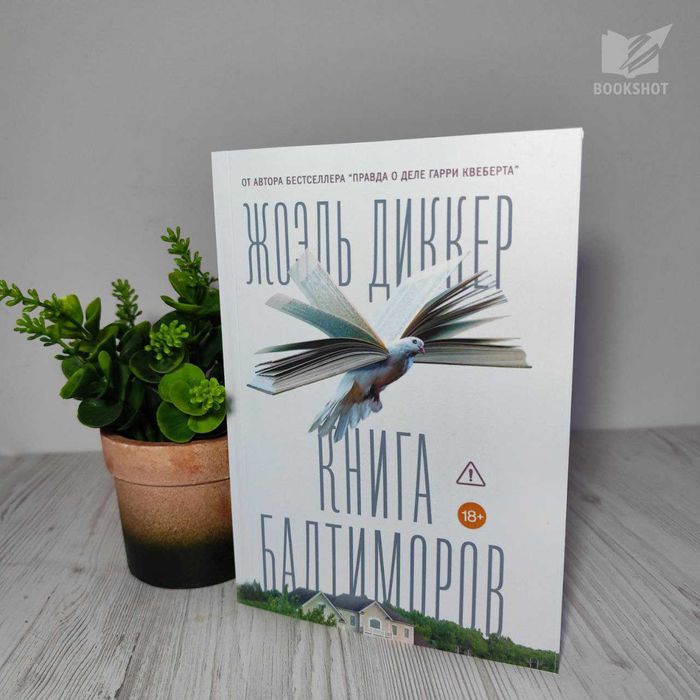 Книга Балтиморов Жоэль Диккер книга роман семейная сага