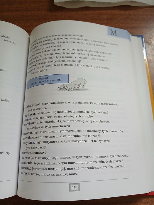 Szkolny słownik ortograficzny,  plus dyktanda