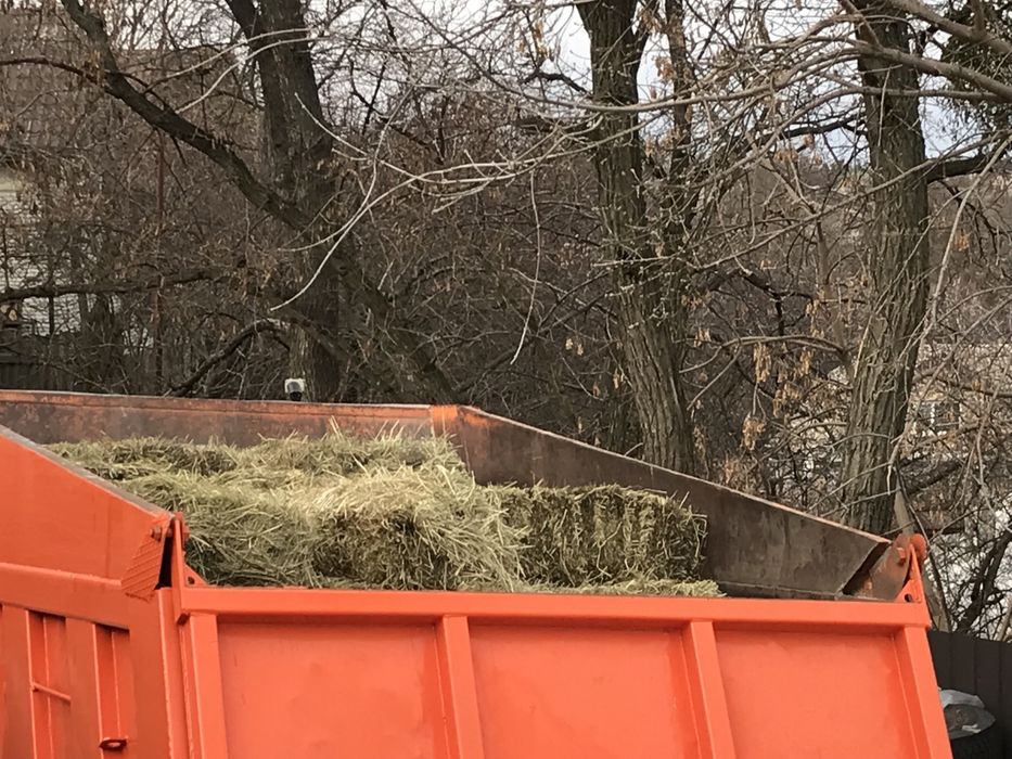 Сіно різнотравя в тюку.