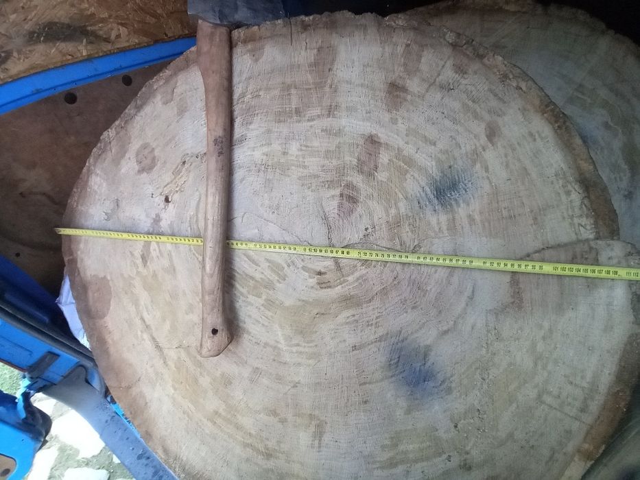 Plastry dębu na stół