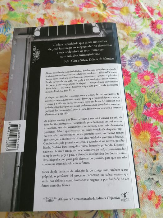 Biografia involuntária dos amantes