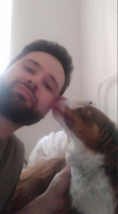 Dog Walker & Pet Sitting - Carcavelos & Parede