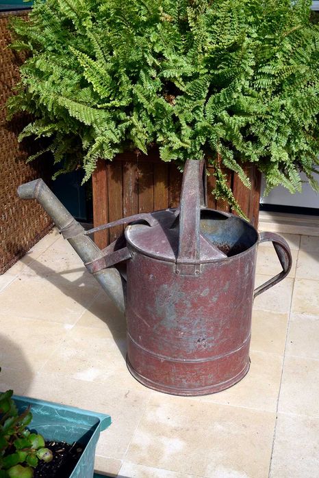 Regador Zinco Vintage