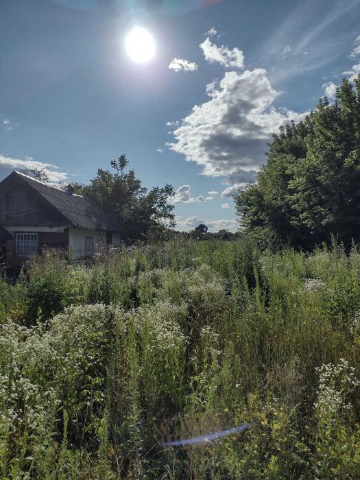 Будинок із земельною ділянкою