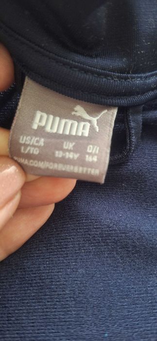 Puma Tracksuit493479945611530243