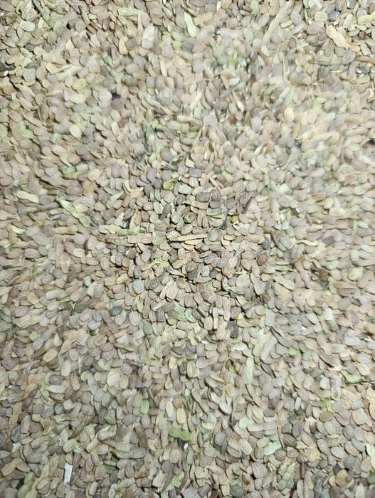 Seradela (saladera) 10t