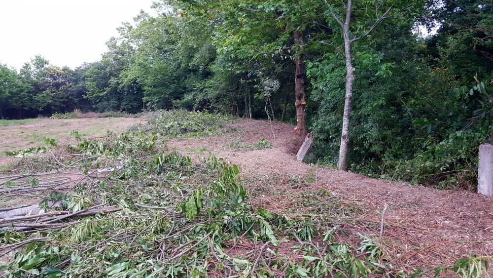 Rústico, com cerca de 7.500 m2 ou mais