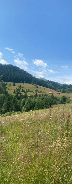 Від власника земельна ділянка в с.Дземброня.