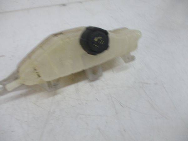 Vaso Expansao / Radiador RENAULT Clio III (BR0/1, CR0/1)