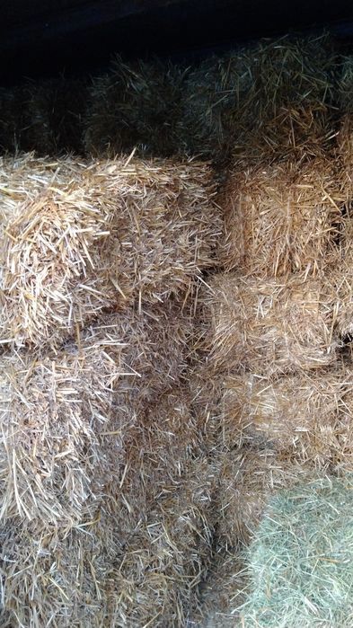 Продам сено в тюках луговое вес 18 + кг