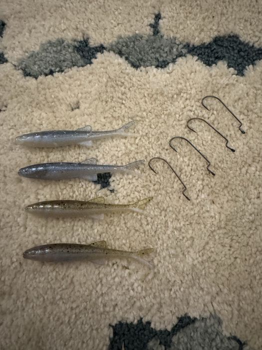 Jaskółki od jaxona