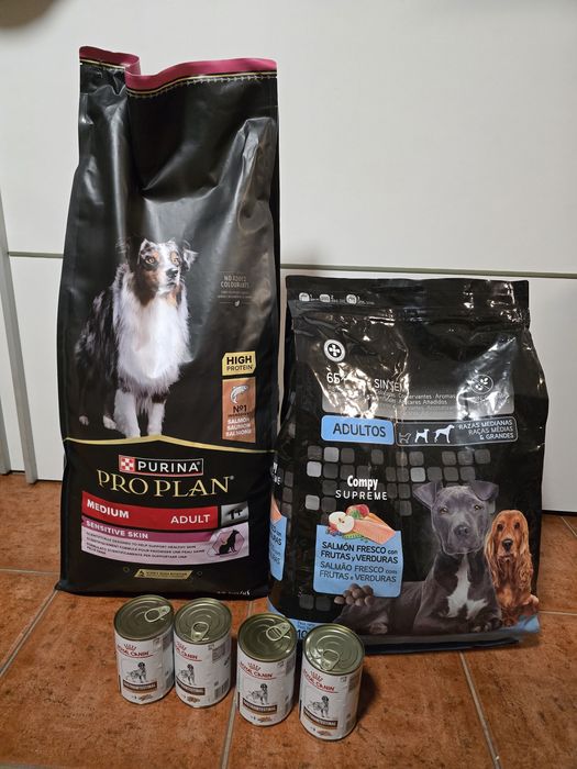 Acessórios e comida para cão