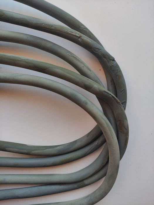 Muscle Training Elastic Band64729962372353122