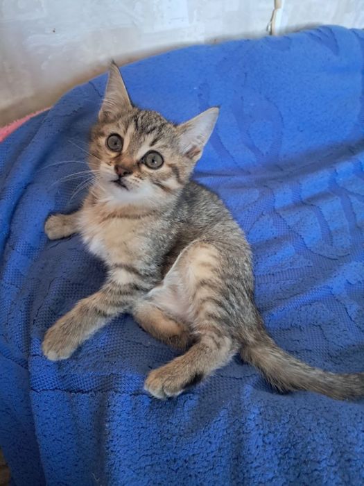 Маленькая радость