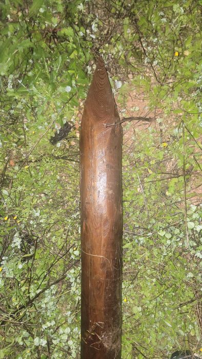 3 postes de madeira (3.5m)