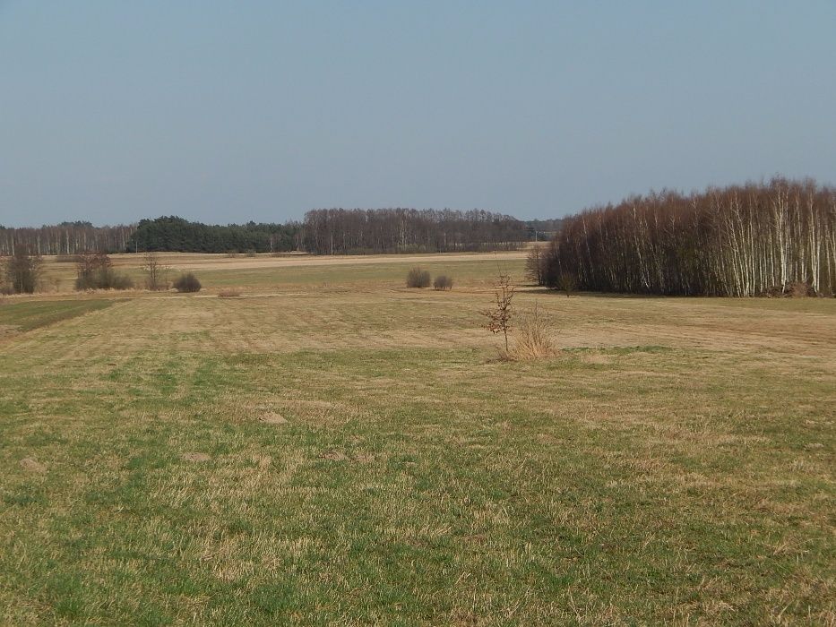 Działka   1150 m2 W.Z.
