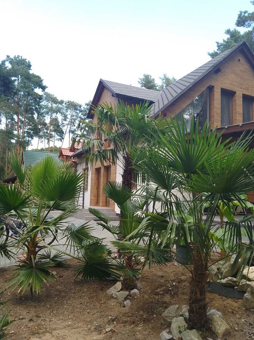 Apartament   JACUZZI nad Jeziorem  Brenno