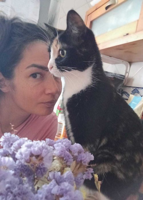 Pet Sitting Estádia Dog Hotel Barreiro— Hospedagem e Passeios