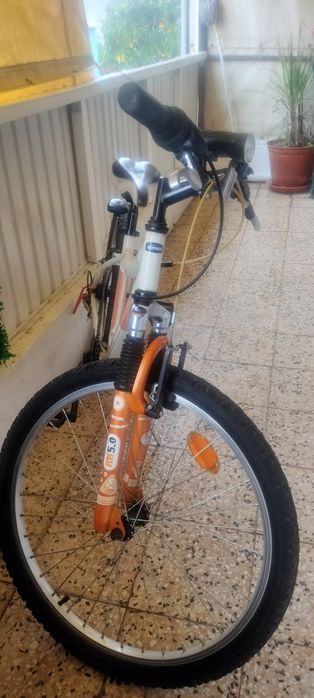 Bicicleta desporto