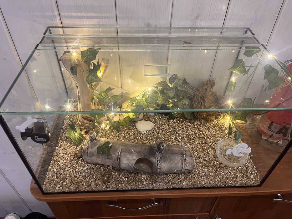 Терраріум під ключ