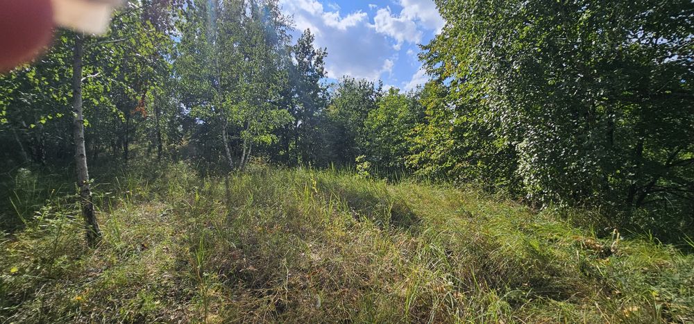 Інвестиція!!!земельна ділянка під житлову забудову 2,5га ,Рославичі