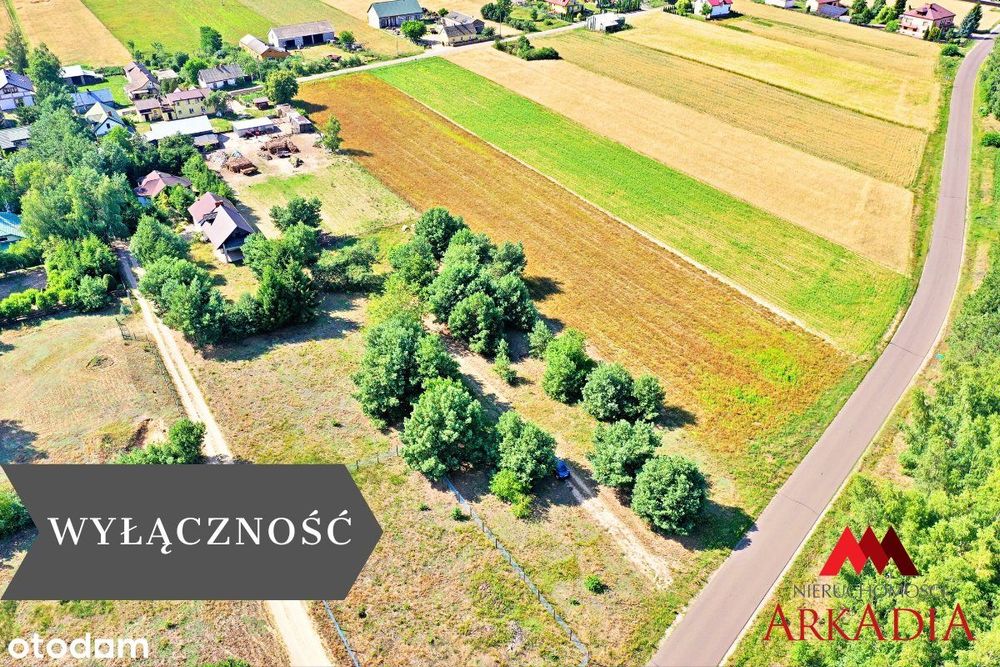 2 działki na sprzedaż - Okna,Baruchowo