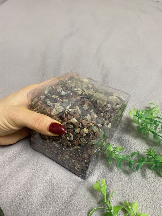 Скриня водорості і камінці для акваріума