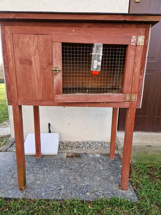 Klatka dla świnek morskich lub królika