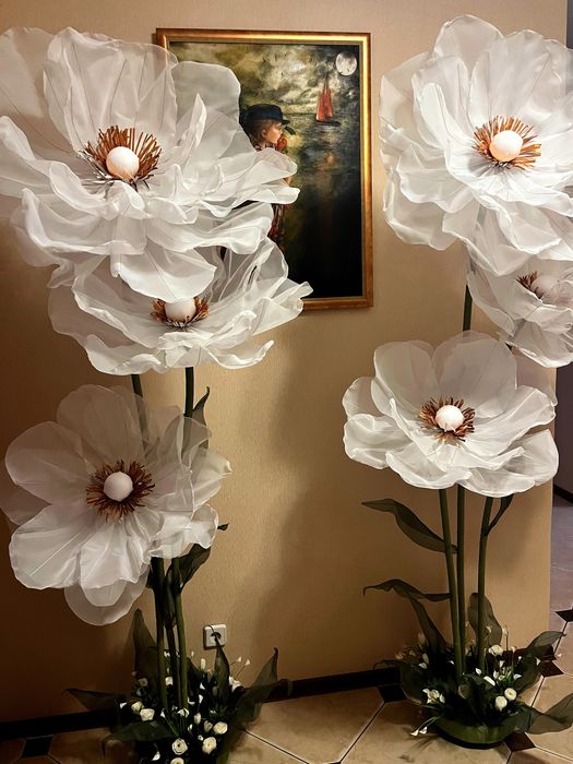 Ростові квіти. Фотозони