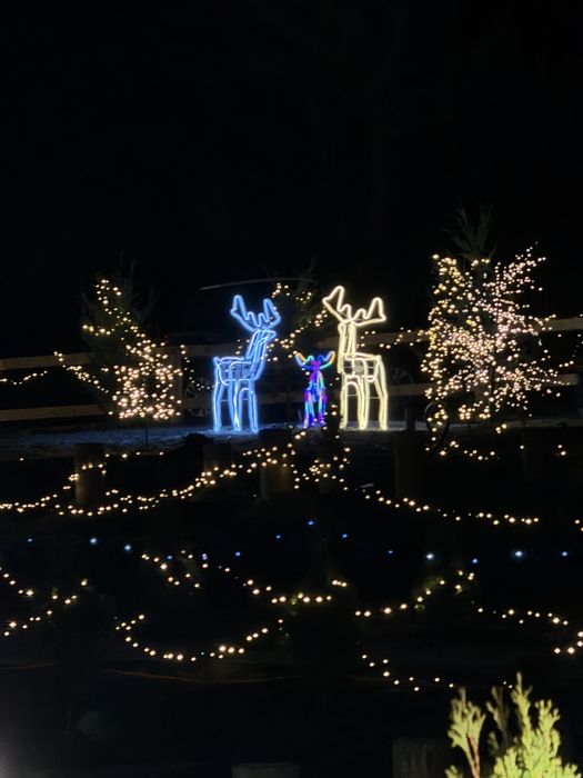 Готовий бізнес під ключ у комплексі відпочинку! Розтермінування