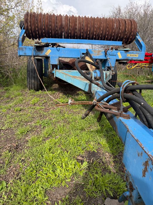 Коток зубчато кільчатий