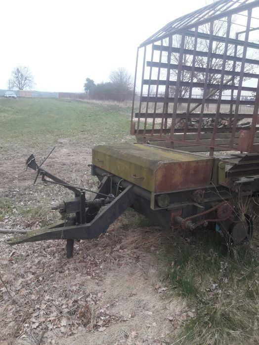 orginalna polska samozbierajaca