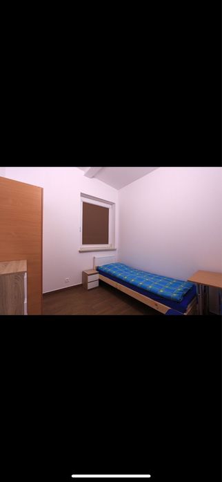 Zdjęcie 6