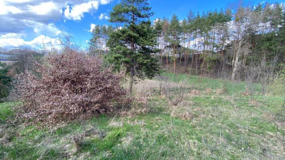 Обухівский р-н, с.Нещерів ділянка 12 соток с виходом в ліс