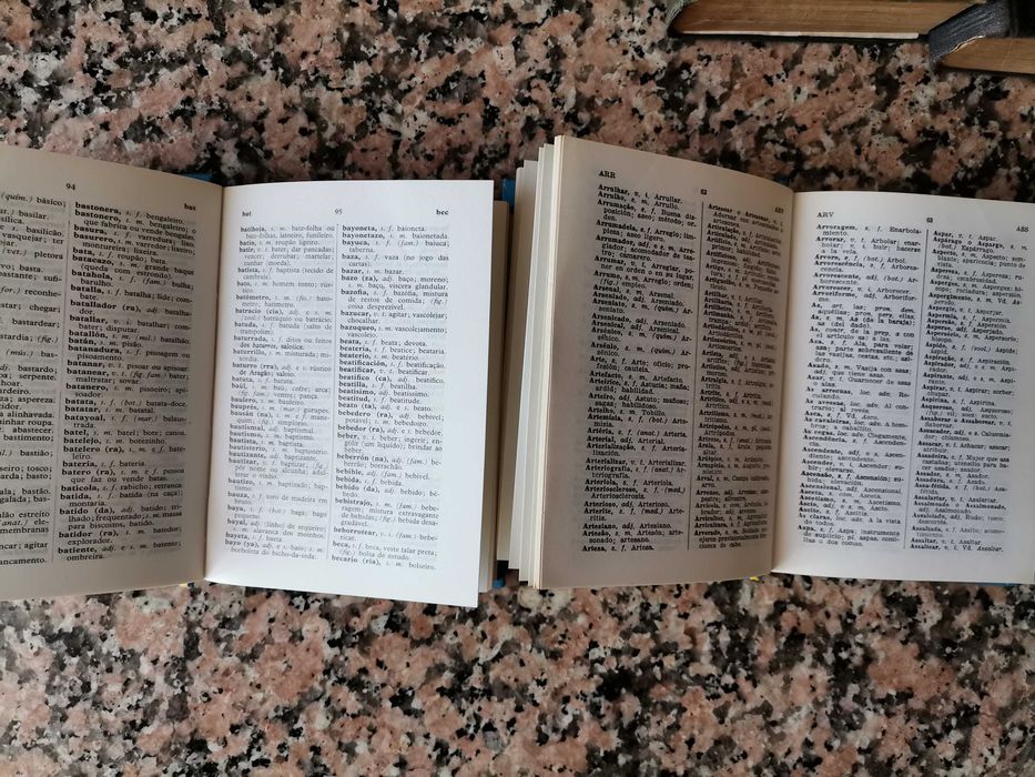 Coleção de 8 Dicionários (Espanhol, Italiano, Russo, Ucraniano, Inglês) - Inclui Antigo 1921