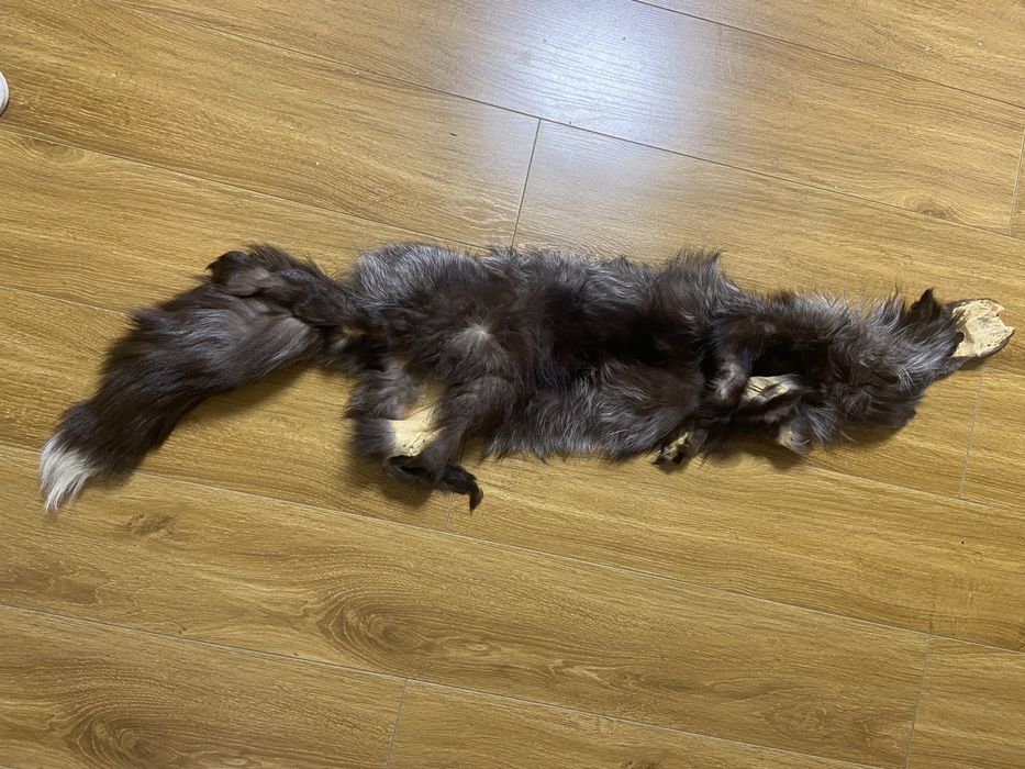 Шкура песця!