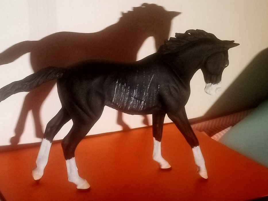 Modele na zamówienie