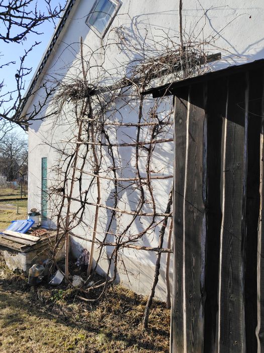 Sprzedam działkę ROD