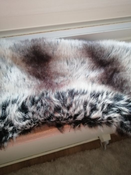 Gola pêlo chinchila