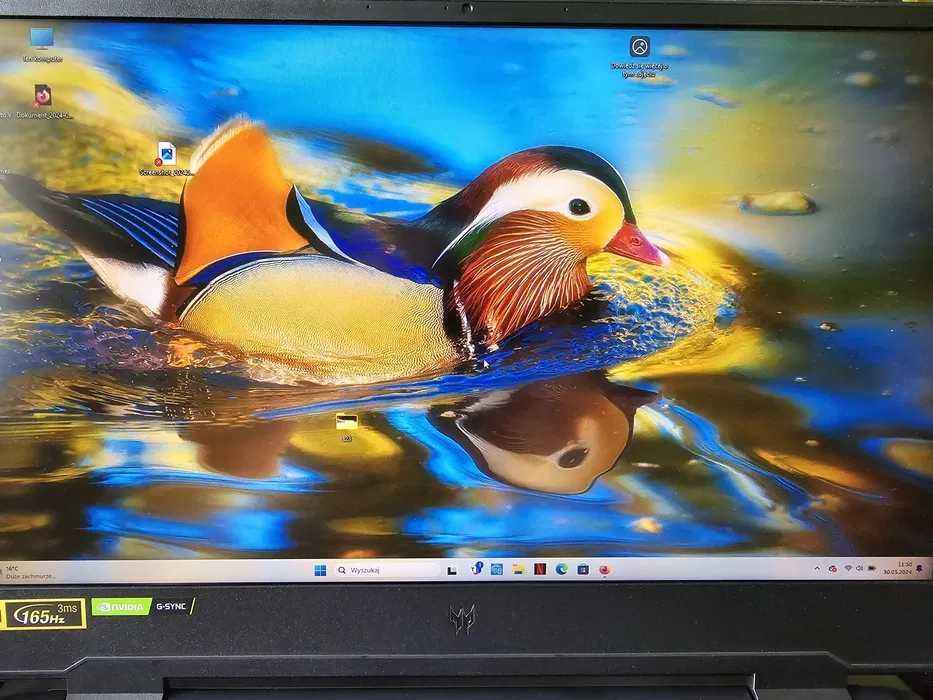 Laptop Gamingowy ACER Predator Helios 300 PH315-55 IPS 165Hz i7-12700H