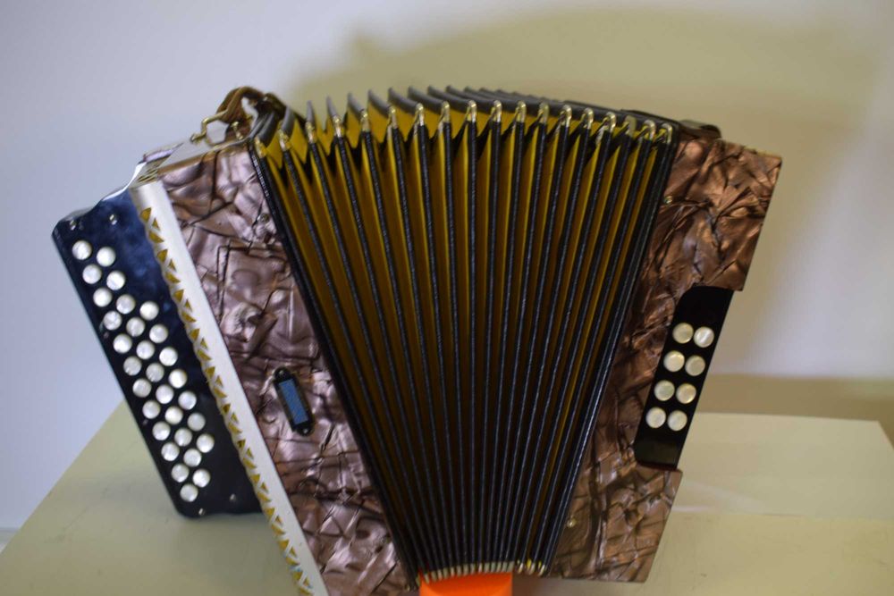 Concertina Hohner 2 Voz Tonalidade LA   3