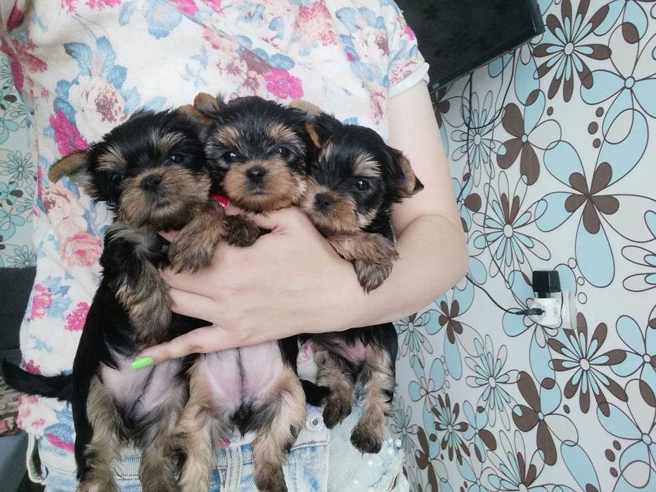 Супер міні і міні,дівчатка і хлопчики