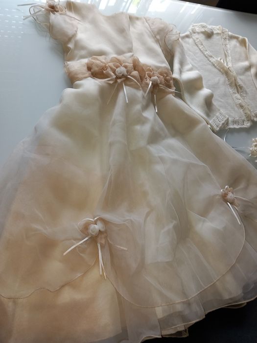 Vestido+ casaquinho e coroa para o cabelo.  6 anos