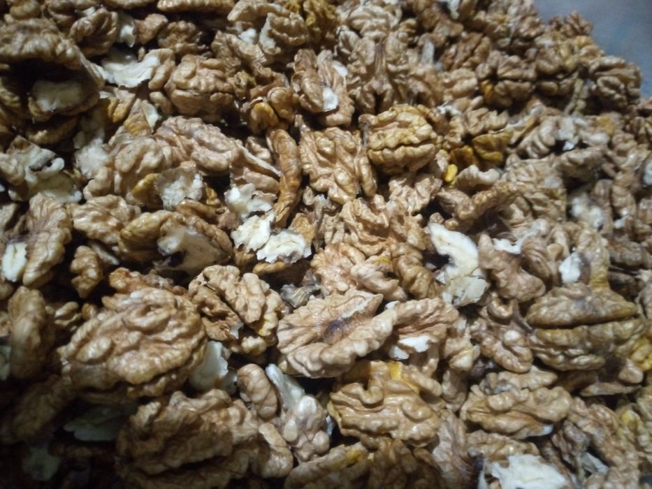 Горіх грецький,горіх волоський чищенні 2025 року