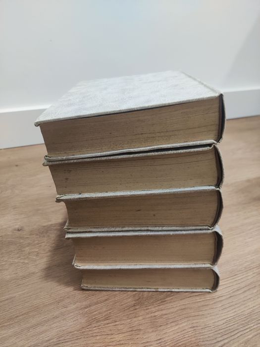 5 volumes Dicionario Universal da Língua Portuguesa : ilustrado ( 5 Vo