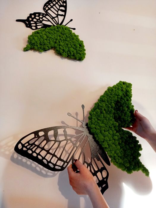Obraz na ściane. Motyl z mchu chrobotka. Prezent. Dekoracje wnętrz