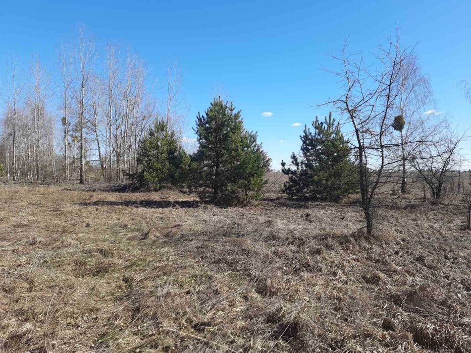 Литвинівка, 2 га, ОСГ, гарне місце.