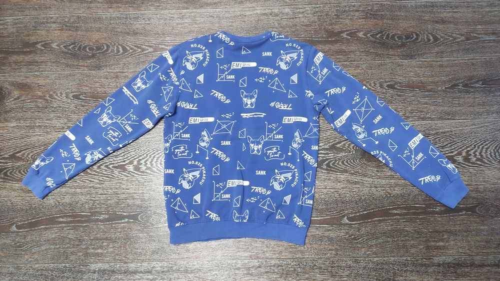 Свитшот, лонгслив, кофта голубая мужская