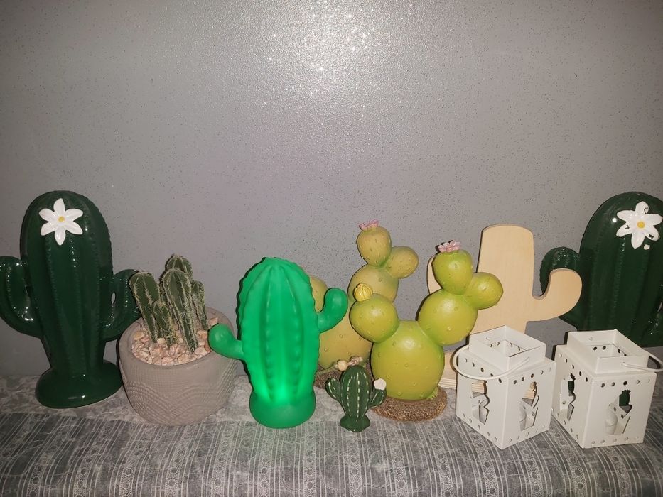 Zestaw kaktusów + girlanda + lampki led
